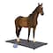 Brecknell PS3000 Floor Scale, 3000lb cap, Vet, Freight, 78.75in. x39.37in. Platform, Dual Pwr, LCD, Rubber Mat 810036380331 - alternate 5